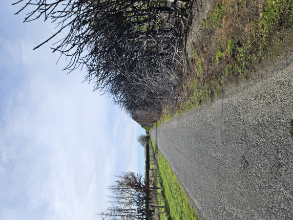 Image-5