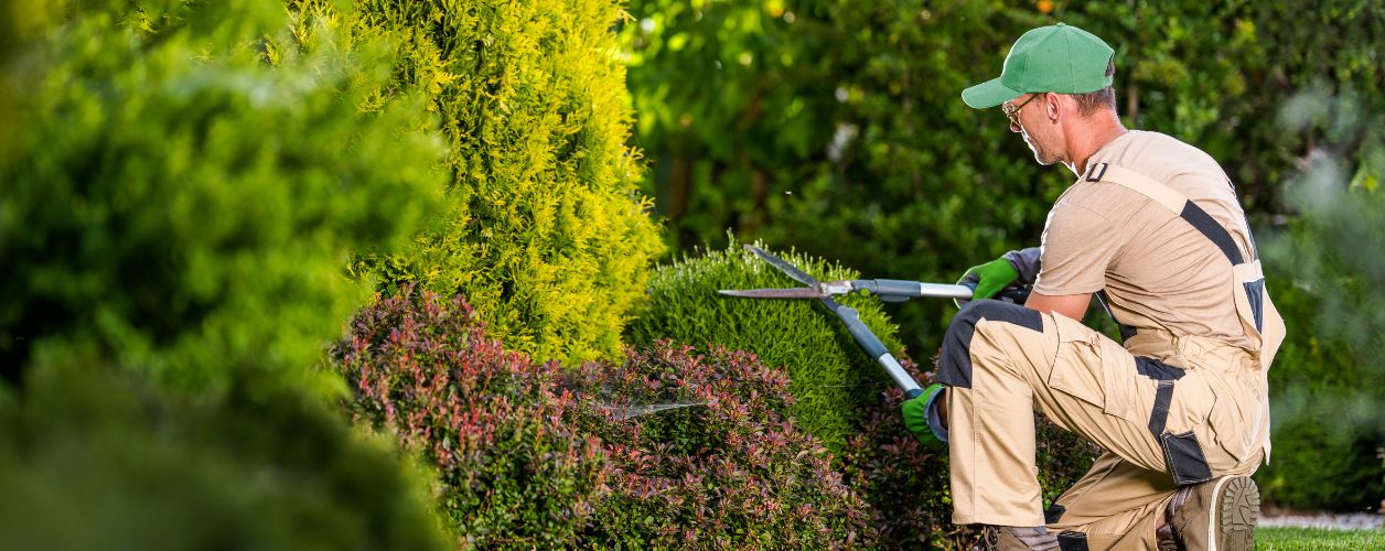 How to Get Rid of Crabgrass & Clover in the Lawn