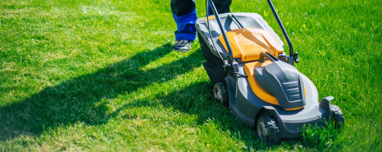 How to Easily Fix Brown Patches in Your Lawn?