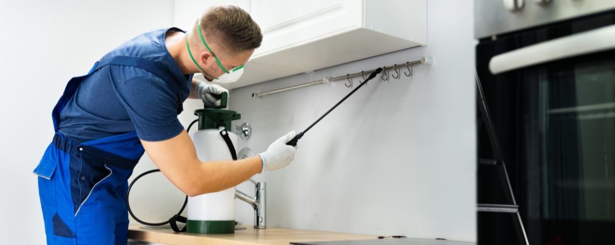 How Much Does Pest Control Cost