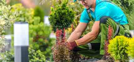 How Much Do Gardeners Cost