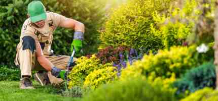Low-Maintenance Gardening Ideas